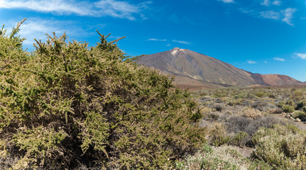 Blick zum El Teide auf Teneriffa