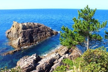 天草西海岸の風景