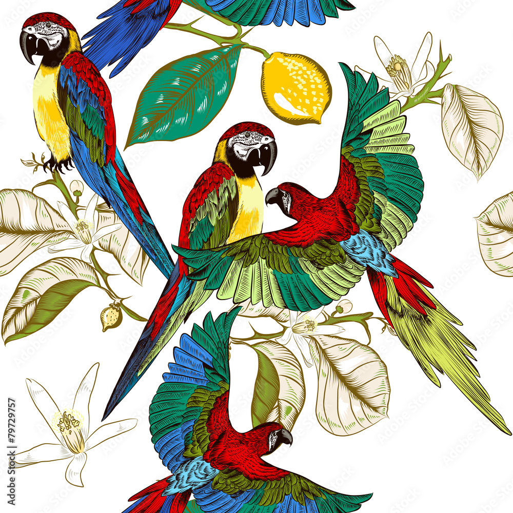 Poster beautiful tropical pattern with colorful parrots with lemon bran