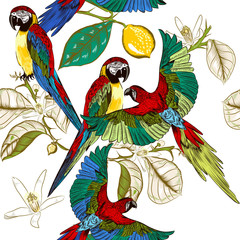 Naklejka premium Beautiful tropical pattern with colorful parrots with lemon bran