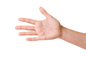 Female hands over white background