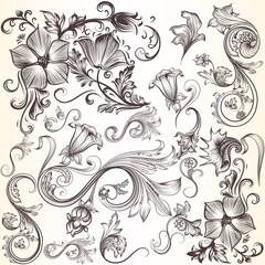 Collection of vector decorative swirls in vintage style for desi