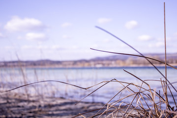 Sandstrand im Naturschutzgebiet am Bodensee