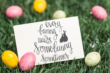 Composite image of every bunny needs some bunny sometimes