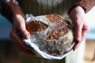 Rustic wholegrain sourdough bread, hands holding fresh loaf - 79731321