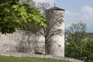 Parte laterale del Castello di Presule