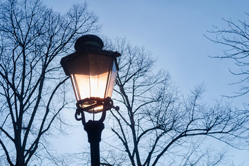 Fototapeta na wymiar sun shining through a street lantern, surrounded by bare trees