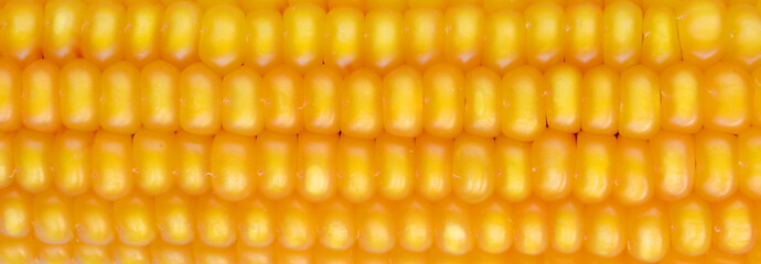 Corn