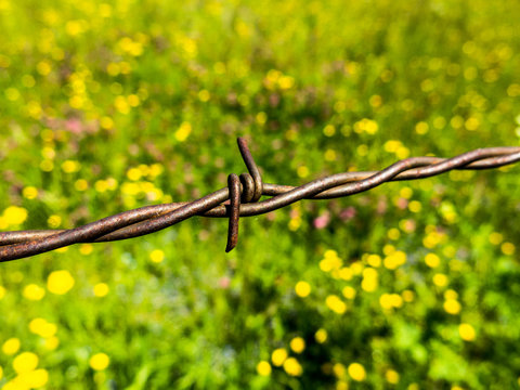 Stacheldraht