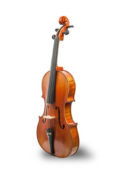 Viola with shadow