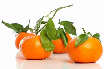 3 Mandarinen
