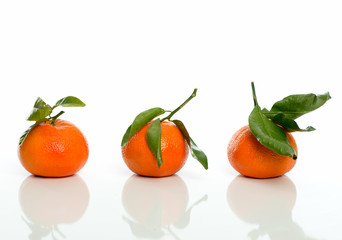 3 Mandarinen