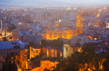 Old districts in Malaga with Cathedral in night