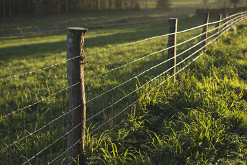 Fence in a field in a rural area