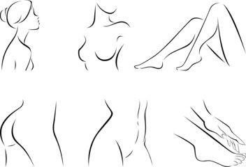 Set of stylized body parts