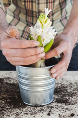 Man taking soil to fill a potted plant