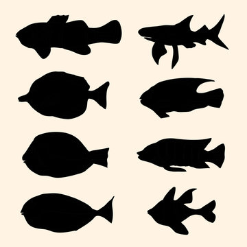 Vector black silhouettes fish set. Icons.