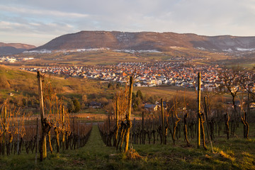 Blick auf Metzingen-Neuhausen (und den Albtrauf) vom Weinberg