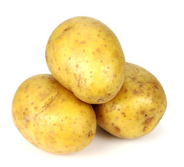 New potato isolated on white background close up.