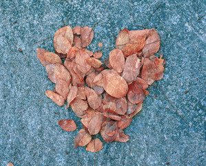 Autumn heart symbol (vintage color)