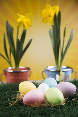 Colorful Easter eggs and flowers