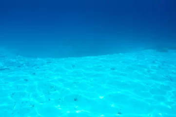 Crédence de cuisine en verre imprimé Turquoise A white sand bottom in clear water