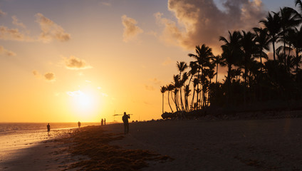 Orange sunrise over Atlantic ocean coast with palm trees