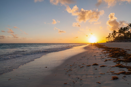 Morning beach landscape, Hispaniola, Dominican republic