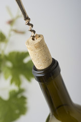 Wine opener closeup
