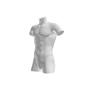 Male body structure
