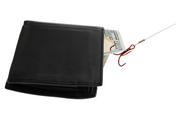 Banknote In Wallet With Fish Hook