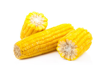 yellow corn isolated on the white