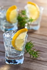 Gin with lemon and ice