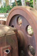 Guadeloupe - Distillerie Damoiseau - Janv 2015 