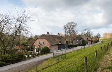 Fototapeta na wymiar Thatched farm houses along a Dutch dike