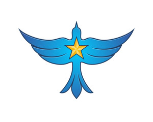 Obraz premium Falcon Star