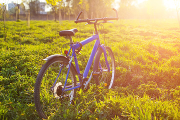 New mountain bicycle in park at sunset