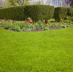 Garten mit Tulpenbeet
