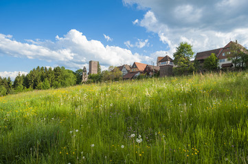 Burgruine Zavelstein © Jürgen Wackenhut