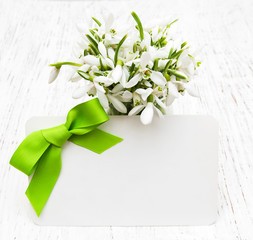Snowdrops with card