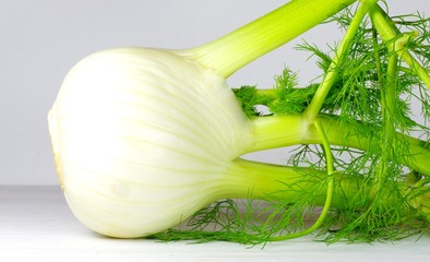 Fenchel mit Fenchelgrün