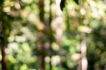 Nature background with abstract de-focus bokeh effect