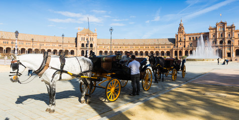  Touristic horse carriages at Plaza de Espana