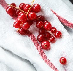 red currant