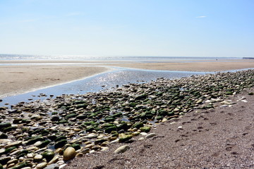 Low Tide In The Bay