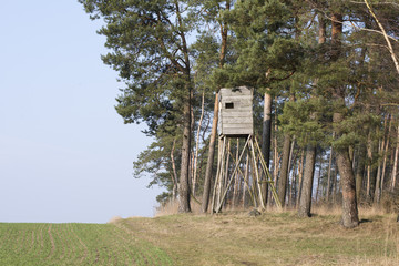 Leśna ambona © 07photo