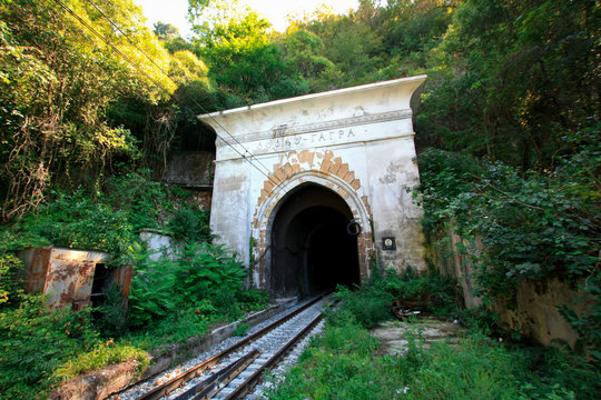 The portal in railway tunnel in the jungle