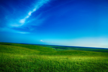 Obraz na płótnie Canvas Beautiful spring field with the blue sky