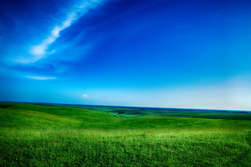 Obraz na płótnie Canvas Beatiful morning green field with blue heaven