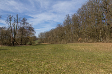 spring landscape in bavaria